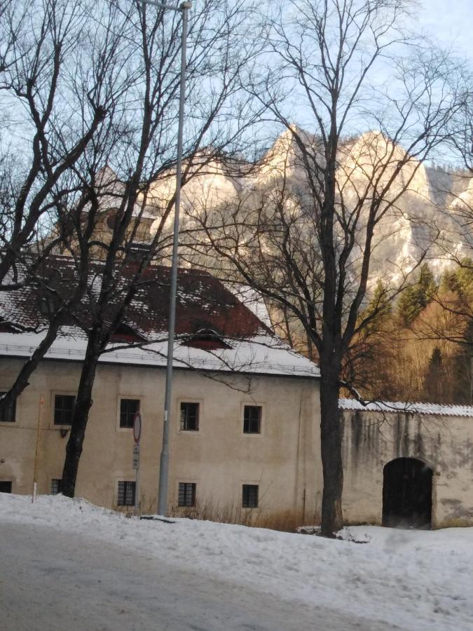 Penzion Holica Lesnica Exteriér fotografie