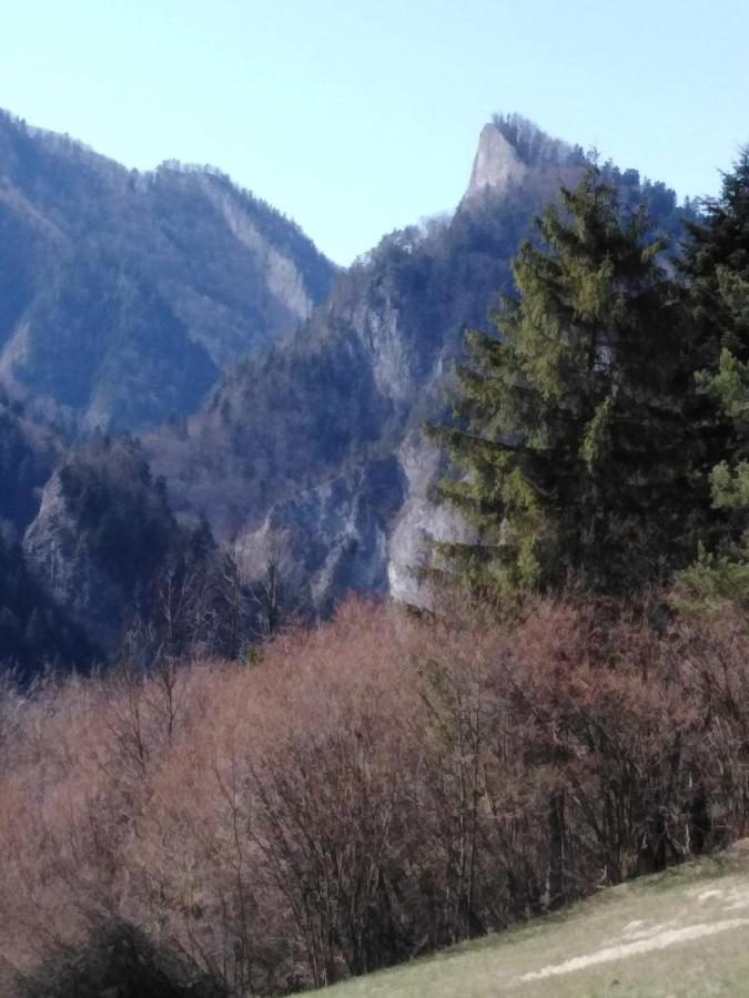 Penzion Holica Lesnica Exteriér fotografie