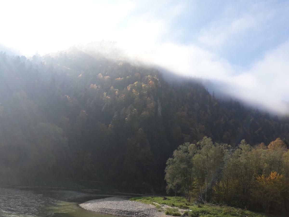 Penzion Holica Lesnica Exteriér fotografie