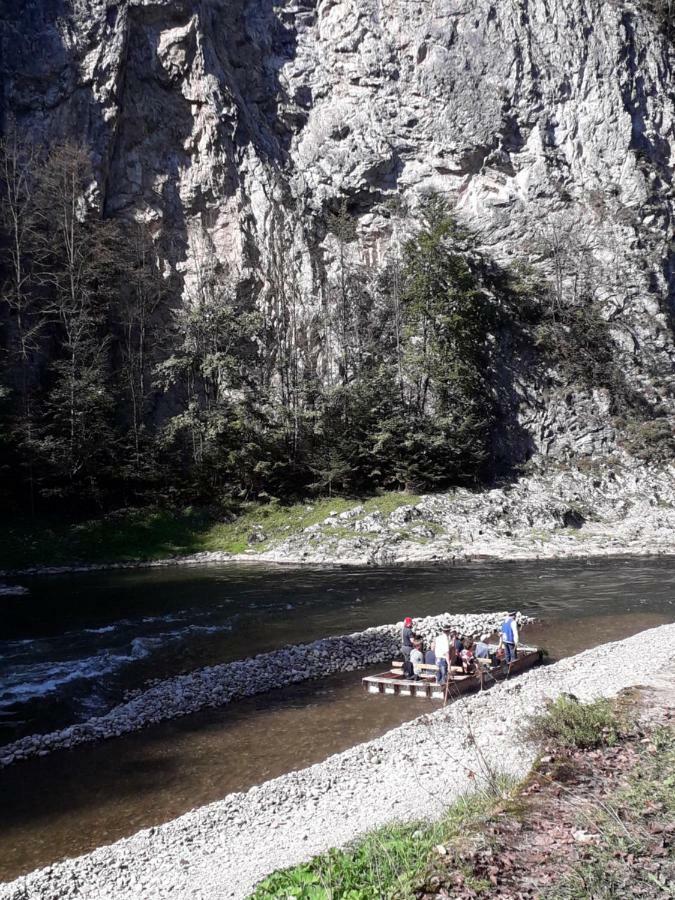 Penzion Holica Lesnica Exteriér fotografie