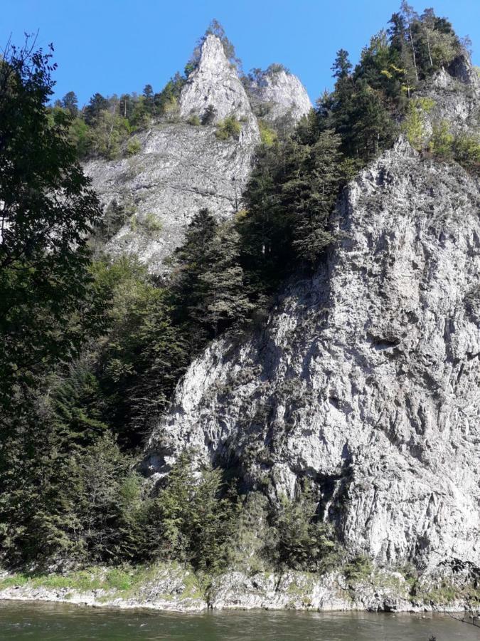 Penzion Holica Lesnica Exteriér fotografie