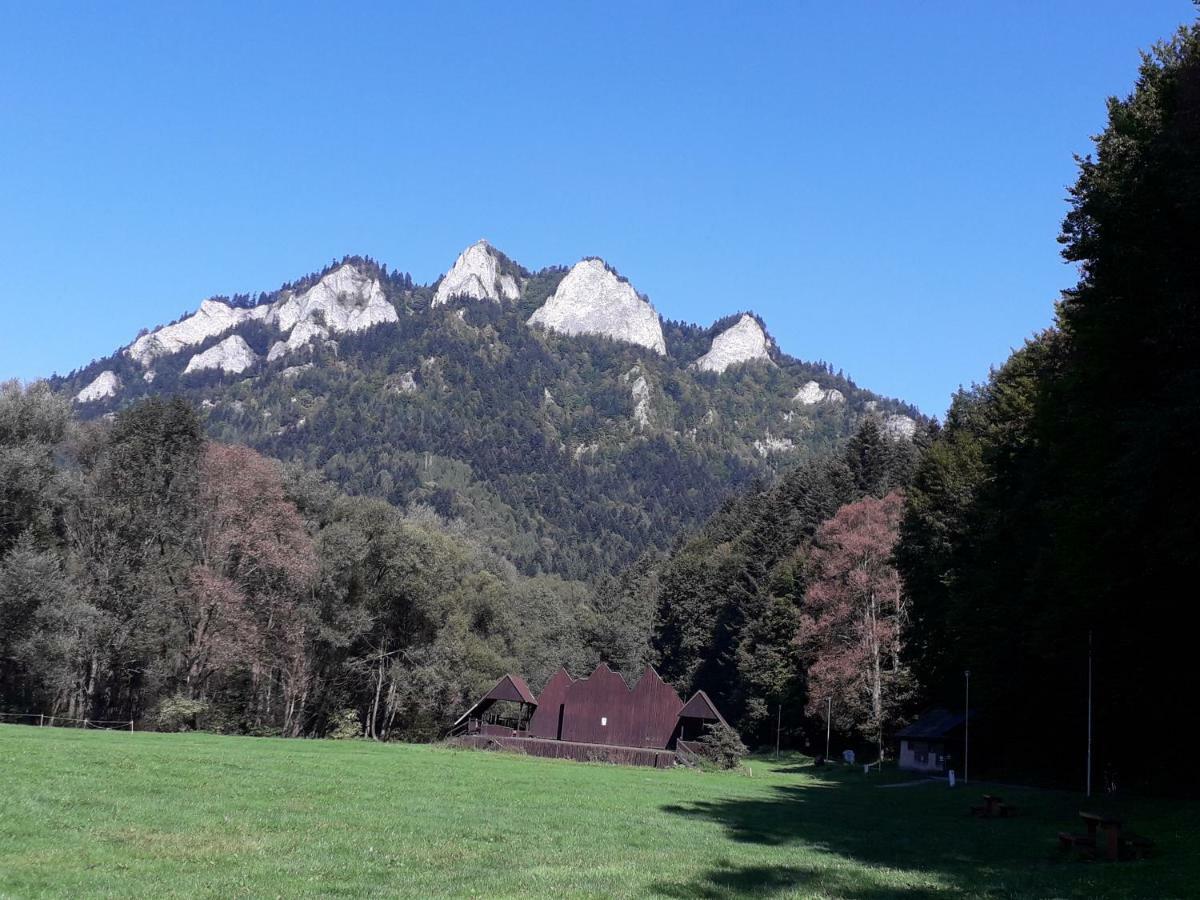 Penzion Holica Lesnica Exteriér fotografie