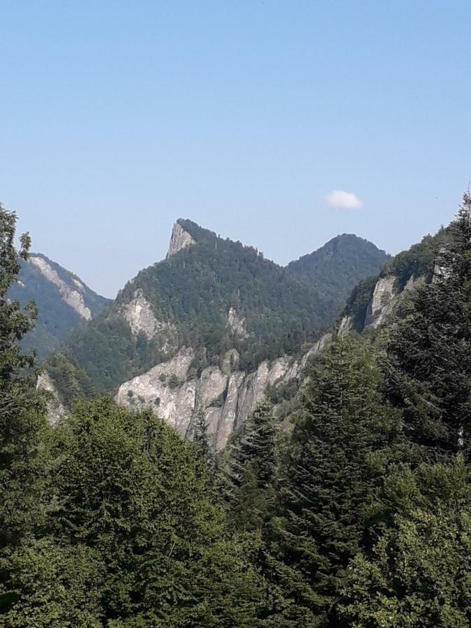 Penzion Holica Lesnica Exteriér fotografie