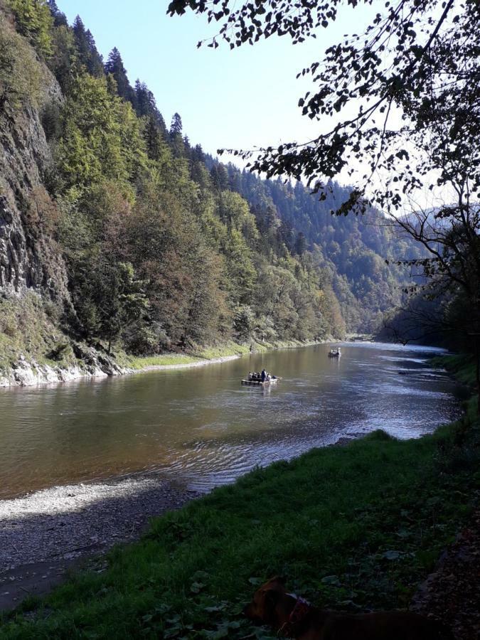 Penzion Holica Lesnica Exteriér fotografie