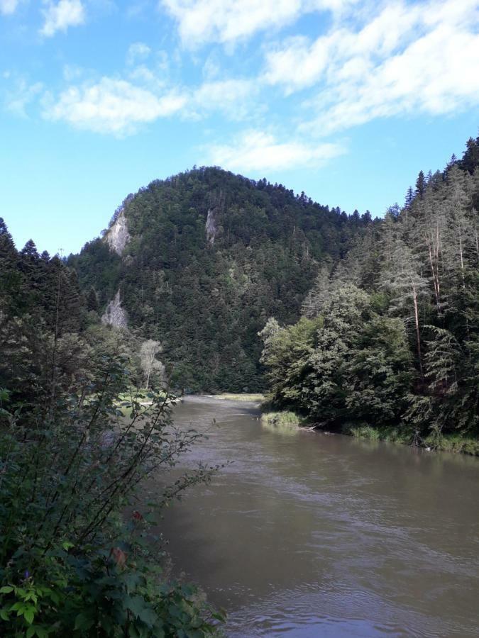 Penzion Holica Lesnica Exteriér fotografie