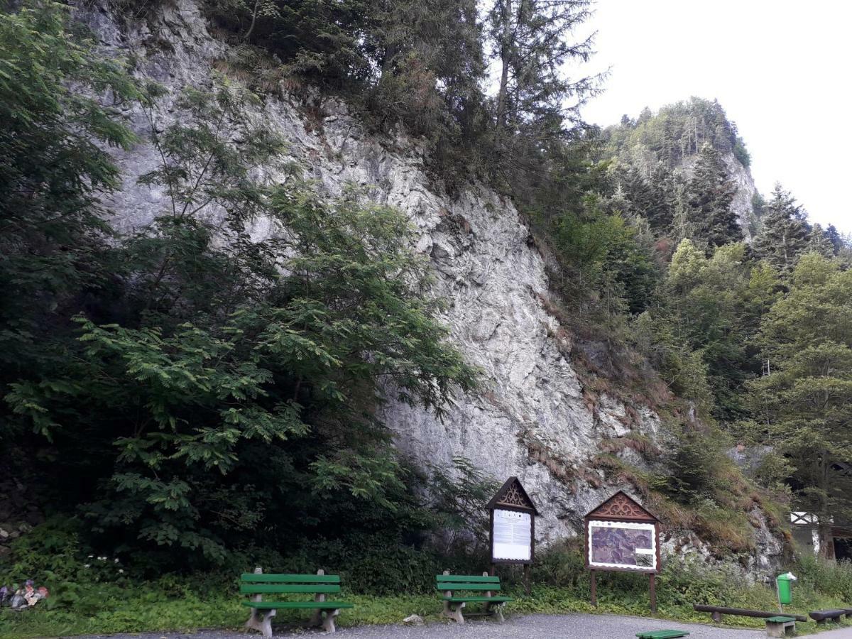 Penzion Holica Lesnica Exteriér fotografie