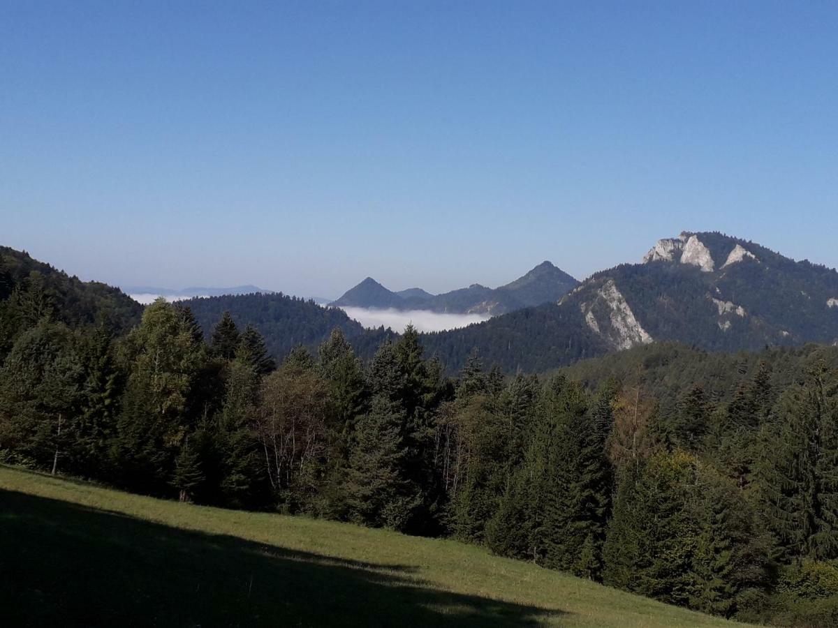Penzion Holica Lesnica Exteriér fotografie