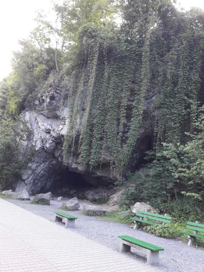 Penzion Holica Lesnica Exteriér fotografie