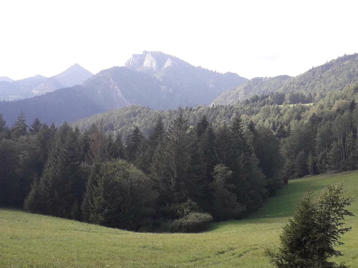 Penzion Holica Lesnica Exteriér fotografie